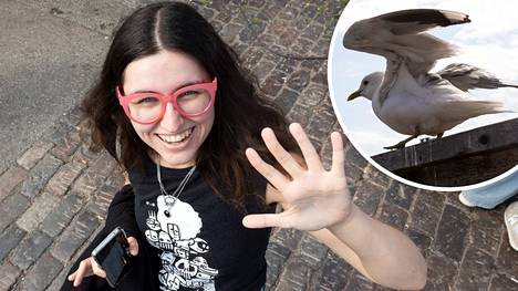 Mila tuli Pohjois-Makedoniasta ihailemaan Suomea – lokki hyökkäsi kimppuun