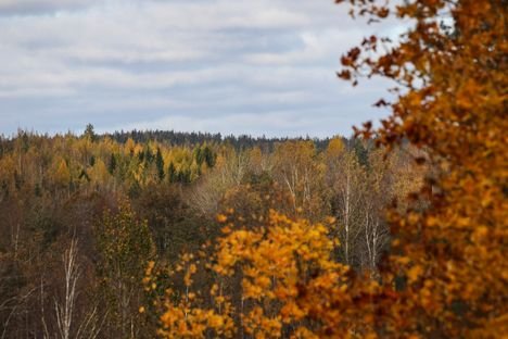Tällainen oli miljonääri­tiedustelija Veikko Palkon ura