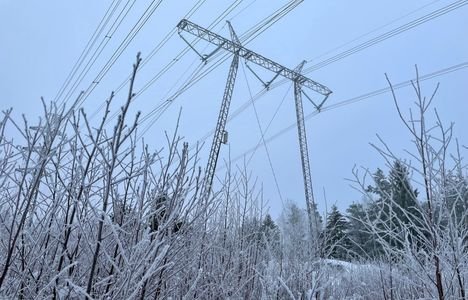 S&auml;hk&ouml;yhti&ouml;n asiakas&shy;palvelija kertoo surullisesta ilmi&ouml;st&auml; &ndash; &rdquo;He itkev&auml;t puhelimessa&rdquo;