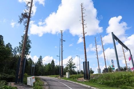 Satojen tuhansien eurojen tolpat keskell&auml; Vantaata tyrmistytt&auml;v&auml;t kansaa &ndash; &rdquo;Olisin kyll&auml; keksinyt niillekin rahoille jotain parempaa k&auml;ytt&ouml;&auml;&rdquo;