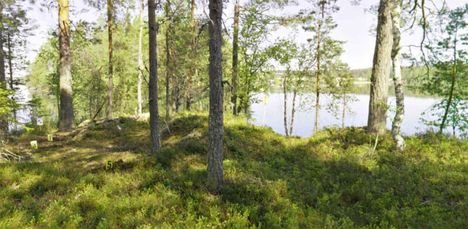 Saara Arvan omaiset saivat outoja laskuja Savosta – tästä syystä siskon epäilykset heräsivät