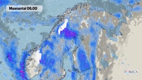 N&auml;in syysmyr&auml;kk&auml; iskee Suomeen