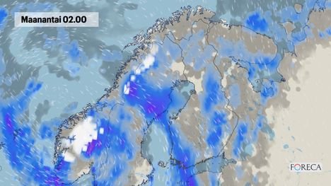 N&auml;in syysmyr&auml;kk&auml; iskee Suomeen