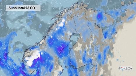 N&auml;in syysmyr&auml;kk&auml; iskee Suomeen